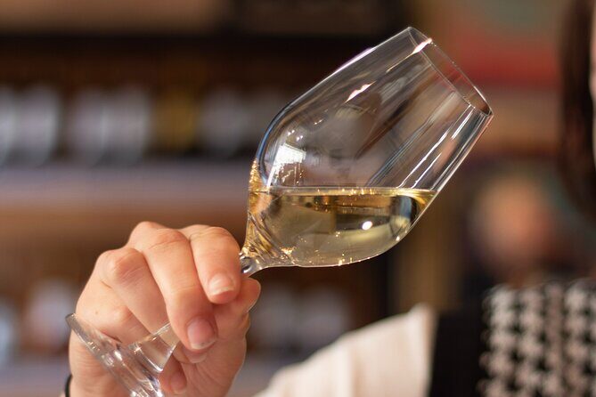 Bordeaux Wines Masterclass paired with cheeses & charcuterie - Who Will Love This Tour?