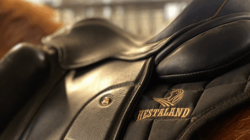 borgarnes-horseback-riding-tour-with-prep-lesson