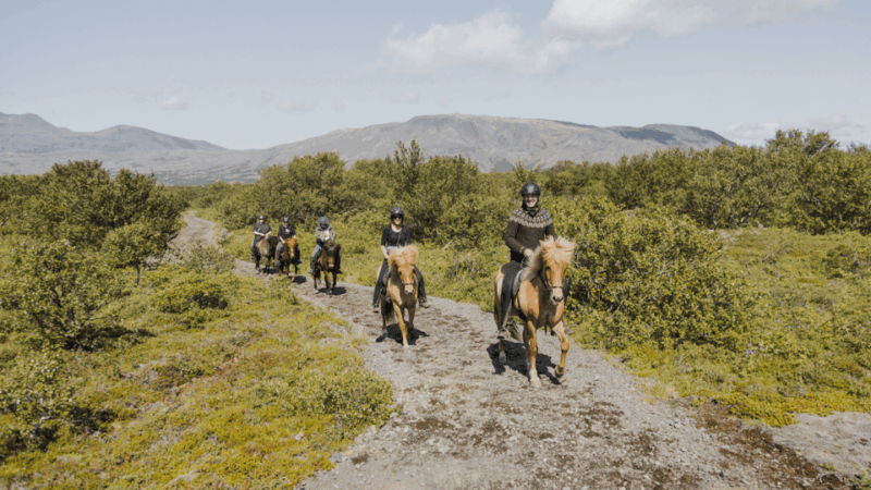borgarnes-horseback-riding-tour-with-prep-lesson