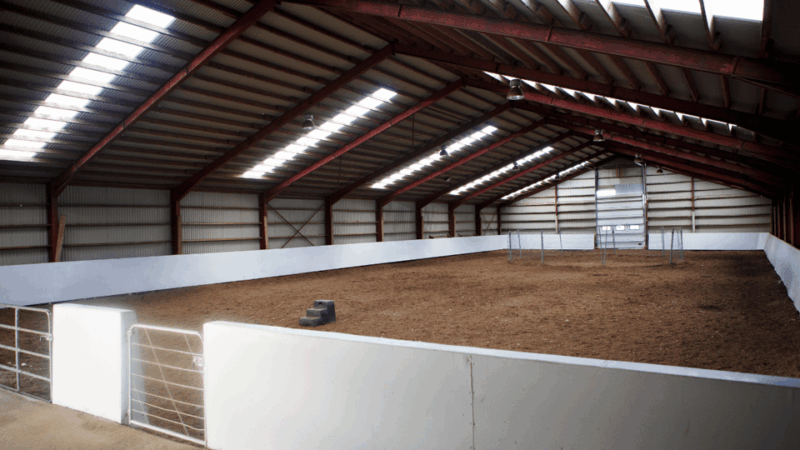 borgarnes-horseback-riding-tour-with-prep-lesson