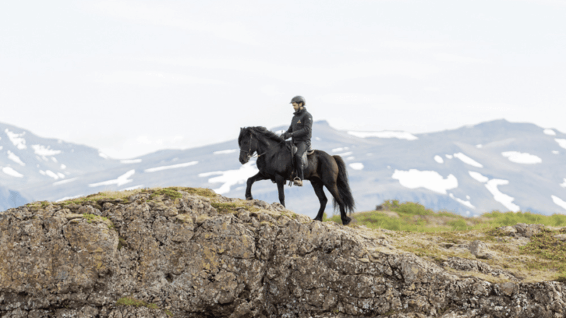 borgarnes-horseback-riding-tour-with-prep-lesson