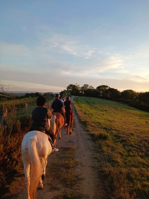 borgo-cignano-waiting-for-the-sunset