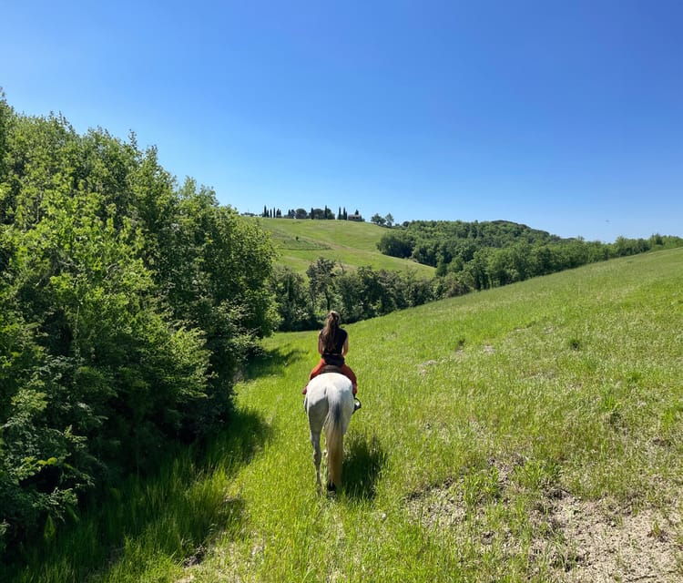 borgo-cignano-waiting-for-the-sunset