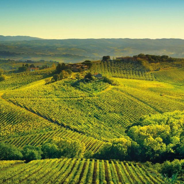 borgunto-non-alcoholic-tasting