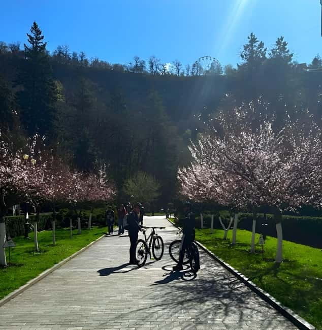 Borjomi Gorge Guided Bike Tour - Introduction