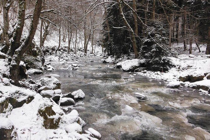 borjomi-nature-wonderland-guided-tour-from-tbilisi