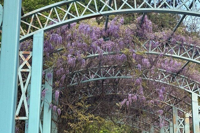 borjomi-nature-wonderland-guided-tour-from-tbilisi