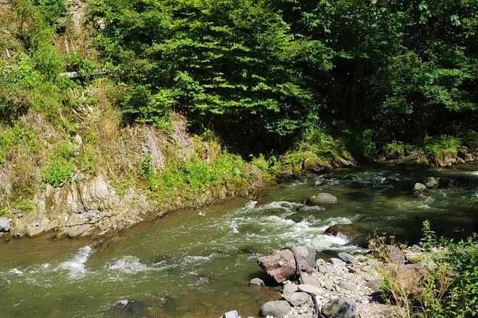 borjomi-tour-from-tbilisi-with-bakuriani-resort-and-soviet-train-ride