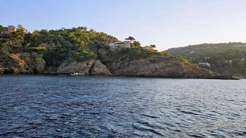 Bormes-les-Mimosas: Aperitif Tasting Cruise at Sea on an electric boat - Key Points