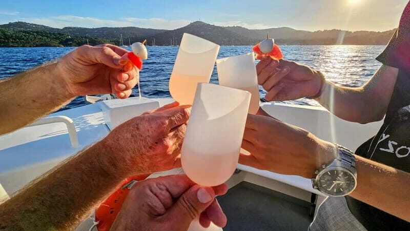 Bormes-les-Mimosas: Aperitif Tasting Cruise at Sea on an electric boat - The Itinerary: Why We Love the Stops