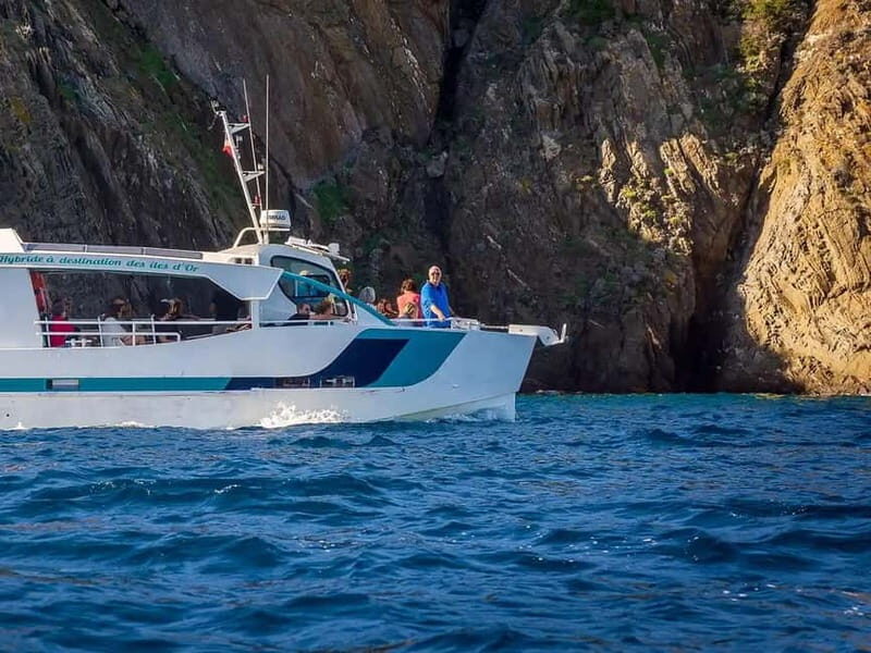 Bormes-les-Mimosas: Hybrid boat trip to Port-Cros Island - Who Will Love This Tour?