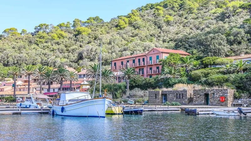 Bormes-les-Mimosas: Sea trip in the heart of Port-Cros National Park - Value and Practical Considerations