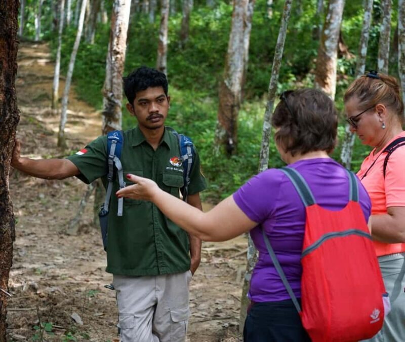 Borneo: 3 Days Orangutan River Cruise from Pangkalan Bun - Who Should Consider This Tour?