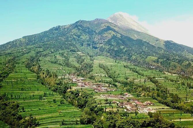 Borobudur Climb Up and Selogriyo Temple Rice Terraces Trekking - Real Traveler Insights: The Authentic Experience