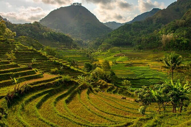 Borobudur Climb Up and Selogriyo Temple Rice Terraces Trekking - Who Should Book This Tour?