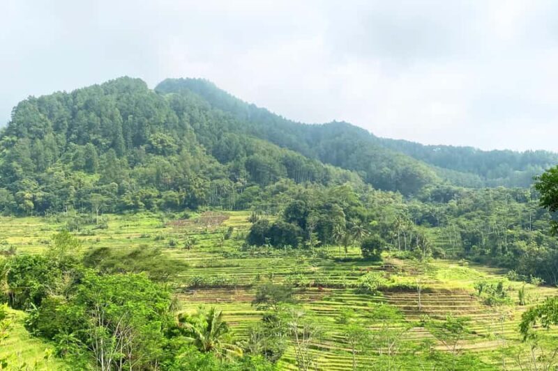 Borobudur: Nepal Van Java & Selogriyo Rice Terraces Private - Key Points