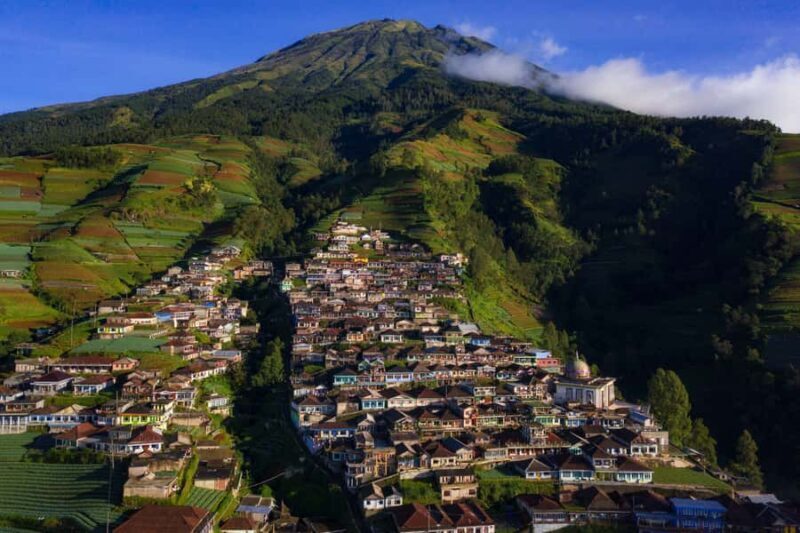 Borobudur: Nepal Van Java & Selogriyo Rice Terraces Private - Practical Details and Value