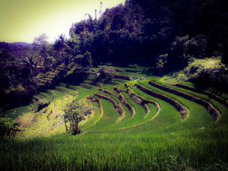Borobudur Photography Day Tour - The Itinerary Breakdown: From Temples to Market