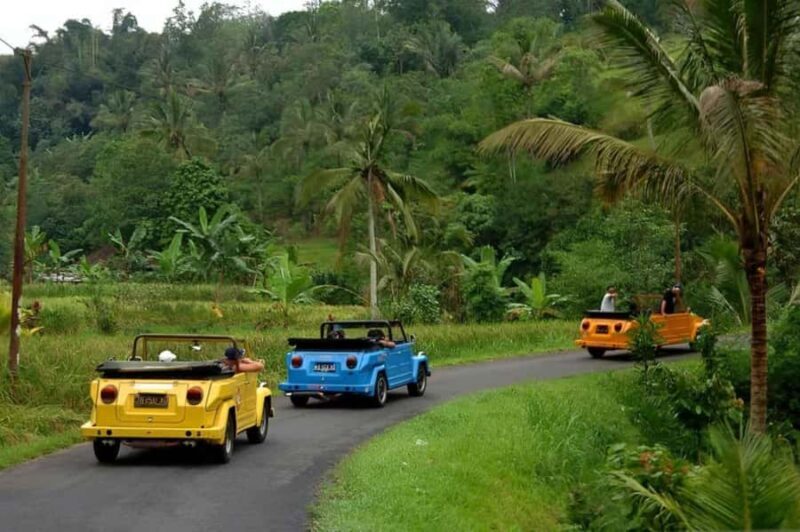 Borobudur: Private Volkswagen Thing Countryside Safari - Exploring the Countryside in Style and Substance