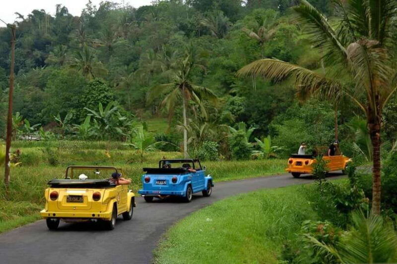 borobudur-private-volkswagen-thing-countryside-safari