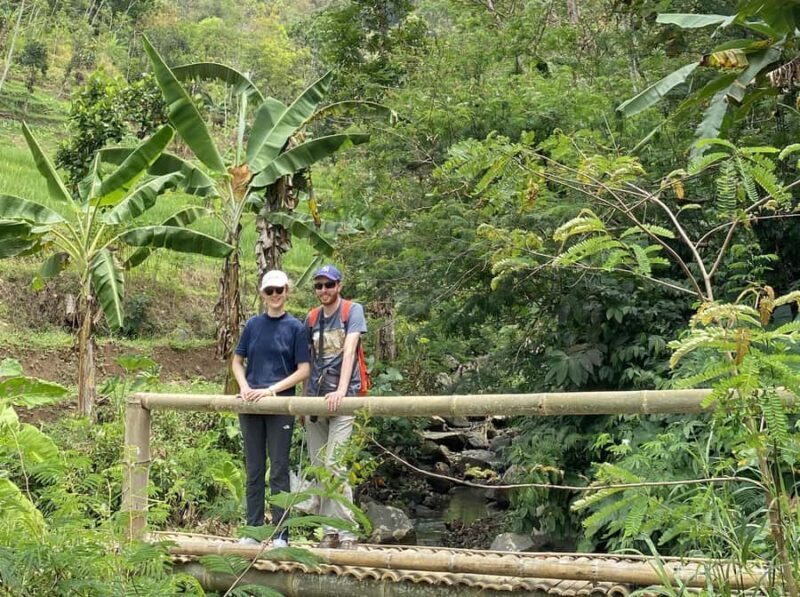Borobudur & Selogriyo Rice Terraces Private Tour with Lunch - Key Points