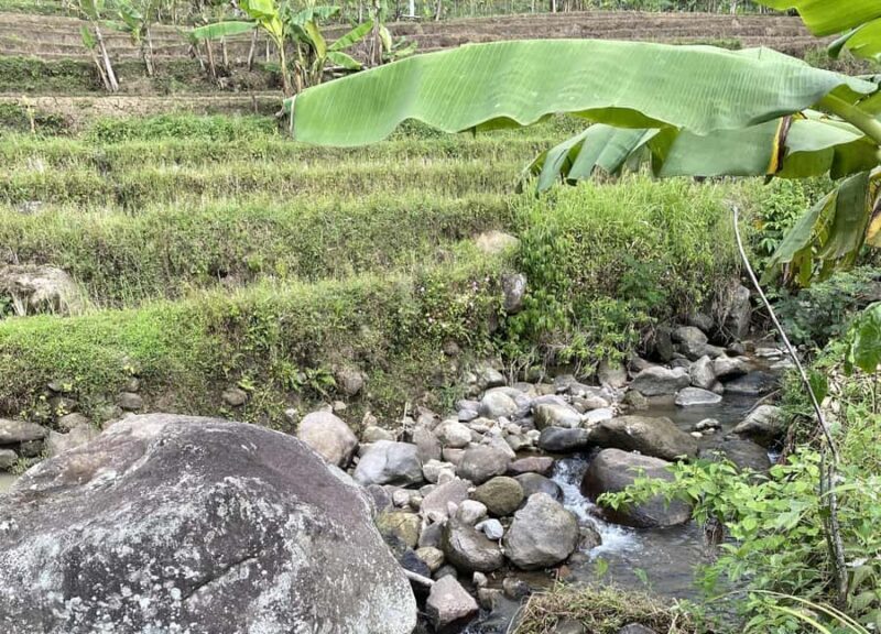 Borobudur & Selogriyo Rice Terraces Private Tour with Lunch - Final Thoughts