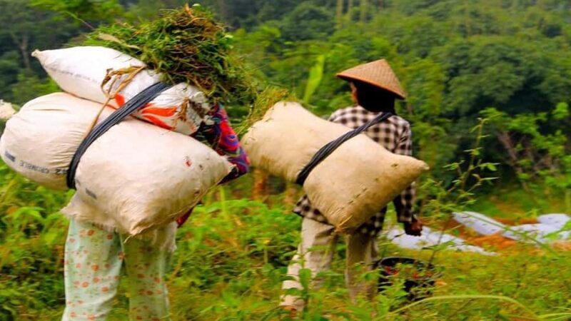 Borobudur Tour & Travel services from Yogyakarta - FAQ