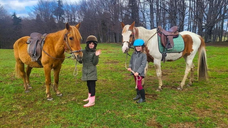 Borovets: Horse Riding Experience - Key Points