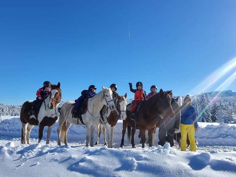 Borovets: Horse Riding Experience - What to Expect During the Horse Riding Tour