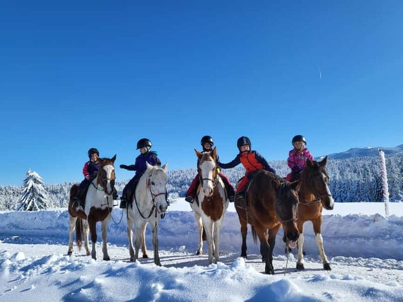 Borovets: Horse Riding Experience - The Value and Pricing: Is It Worth It?