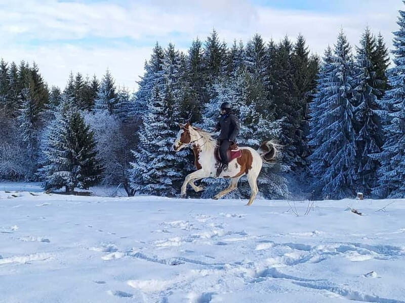 Borovets: Horse Riding Experience - FAQ