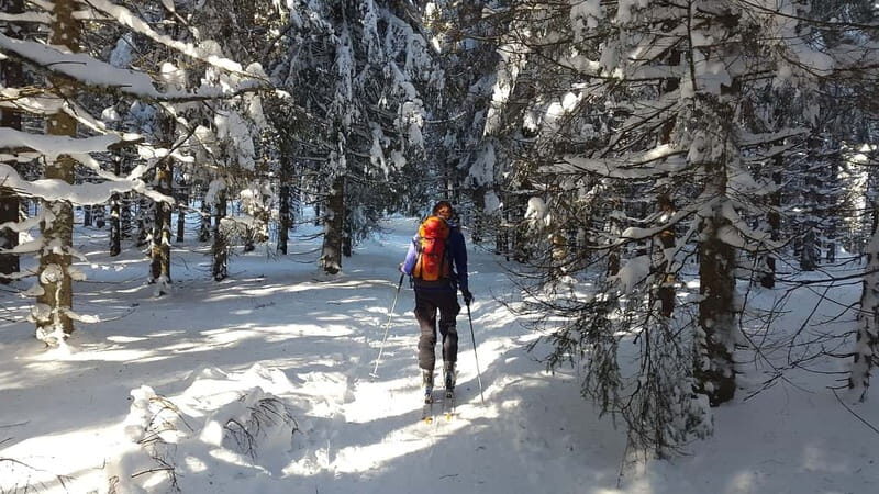 Borovets: Touring Ski Set Rental - Who Should Consider This Experience?