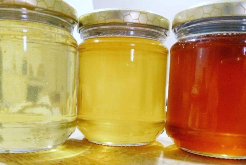 bosa-discover-the-products-of-the-beehive