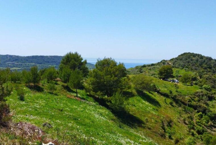 bosa-discover-the-products-of-the-beehive