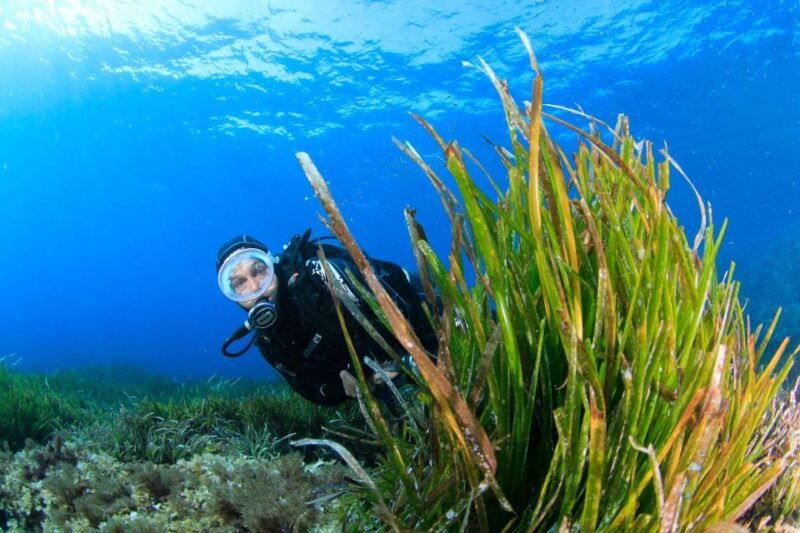 bosa-scuba-diving-for-beginners-in-the-bosa-gulf
