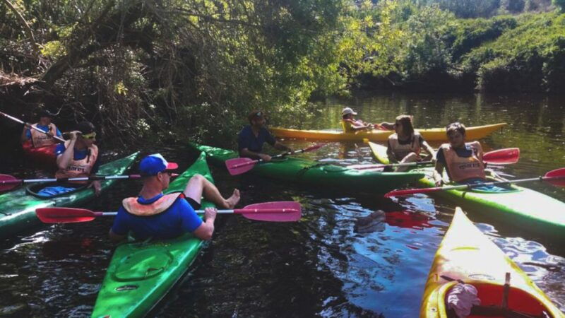 bosa-temo-river-kayak-rental