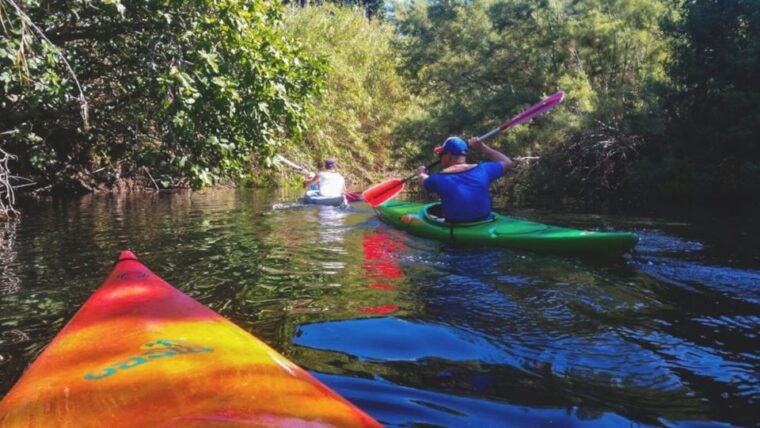 bosa-temo-river-kayak-rental