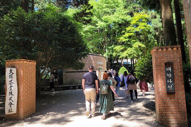 Boseong Tea Plantation & Suncheon National Garden[Train+Bus] - The Itinerary: What to Expect