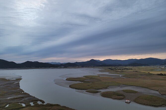 Boseong Tea Plantation & Suncheon National Garden[Train+Bus] - Who Is This Tour Best For?