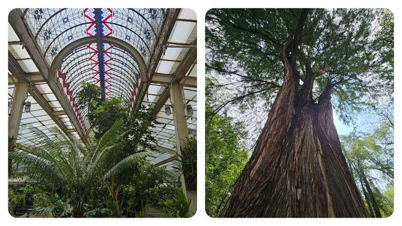 bosque-de-chapultepec-mystical-guided-tour