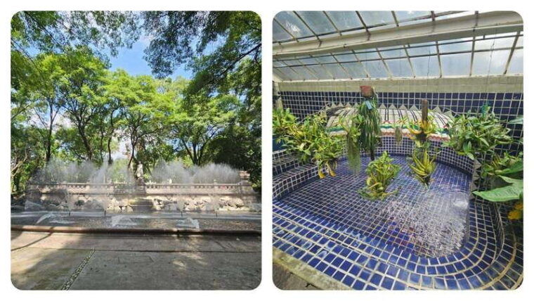 bosque-de-chapultepec-mystical-guided-tour