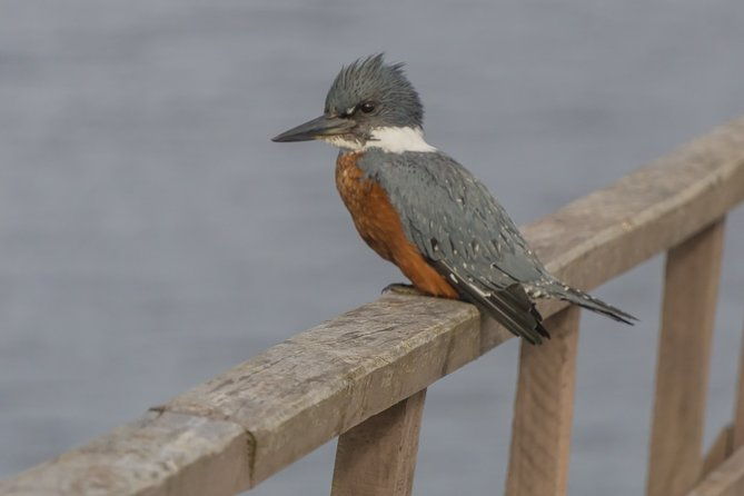 bosque-piedra-reserve-tour