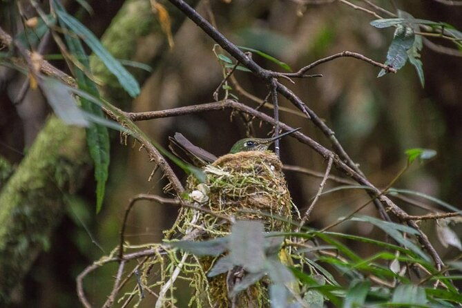bosque-piedra-reserve-tour