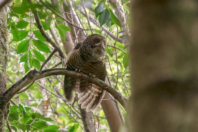 bosque-piedra-reserve-tour
