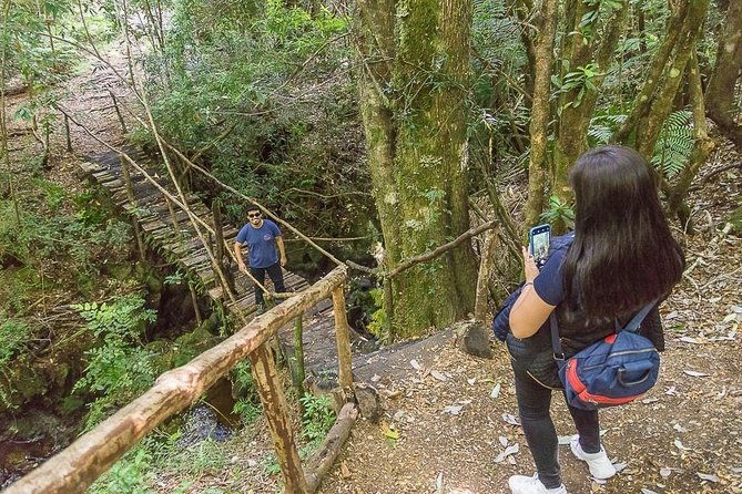 bosque-piedra-reserve-tour