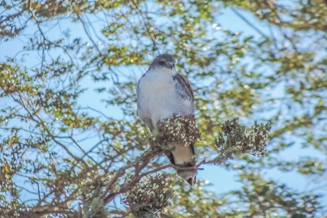 bosque-piedra-reserve-tour