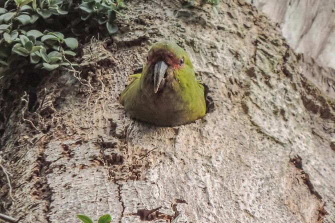 bosque-piedra-reserve-tour