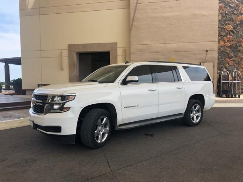 Boston Airport (BOS): Transfer to Flynn Cruise Port Boston - Reliability and Flexibility