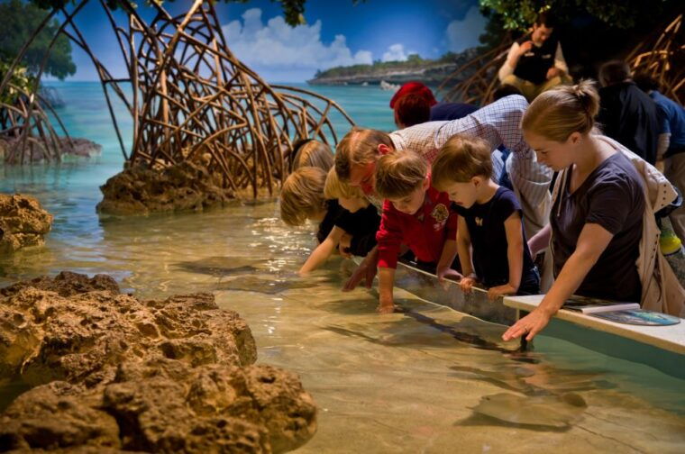 boston-citypass-save-up-to-46-at-4-top-attractions