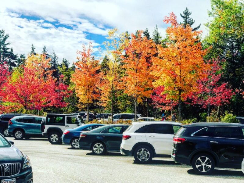 boston-fall-foliage-tour